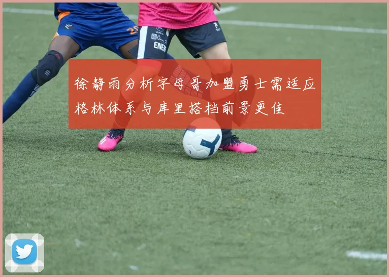 徐静雨分析字母哥加盟勇士需适应格林体系与库里搭档前景更佳