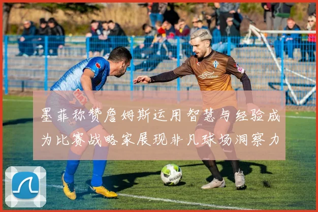 墨菲称赞詹姆斯运用智慧与经验成为比赛战略家展现非凡球场洞察力